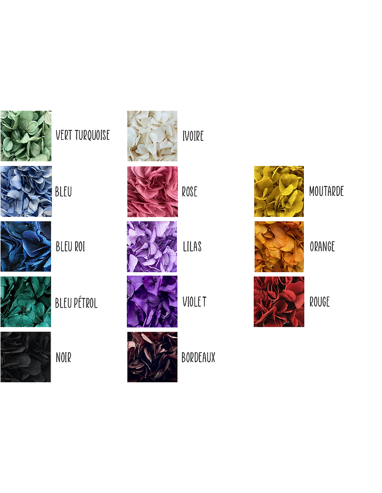 Boucles d'oreilles Lila en fleurs stabilisées - BFlower - Comptoir Doré