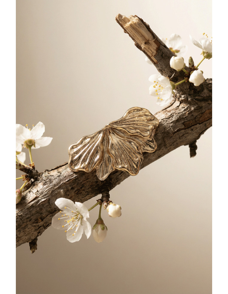 Climbers Feuillage doré - Un de ces quatre - Comptoir Doré